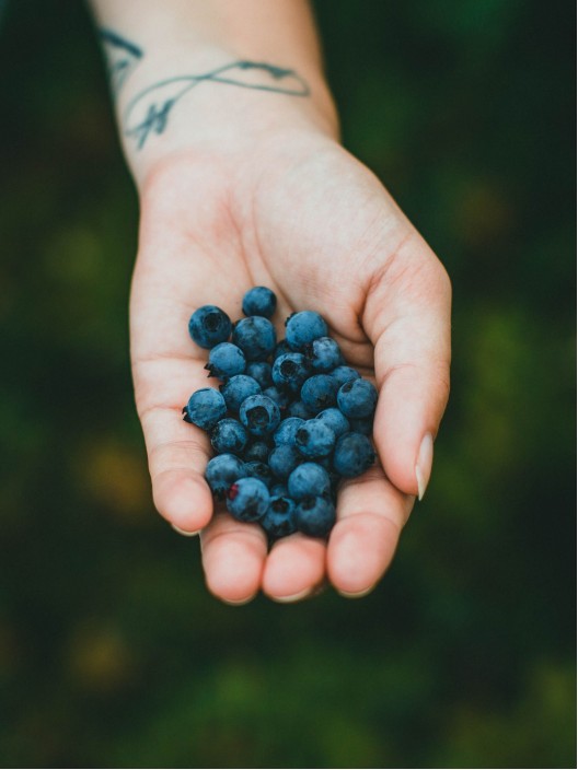  What is the "Elderberry," known as a natural medicine cabinet?