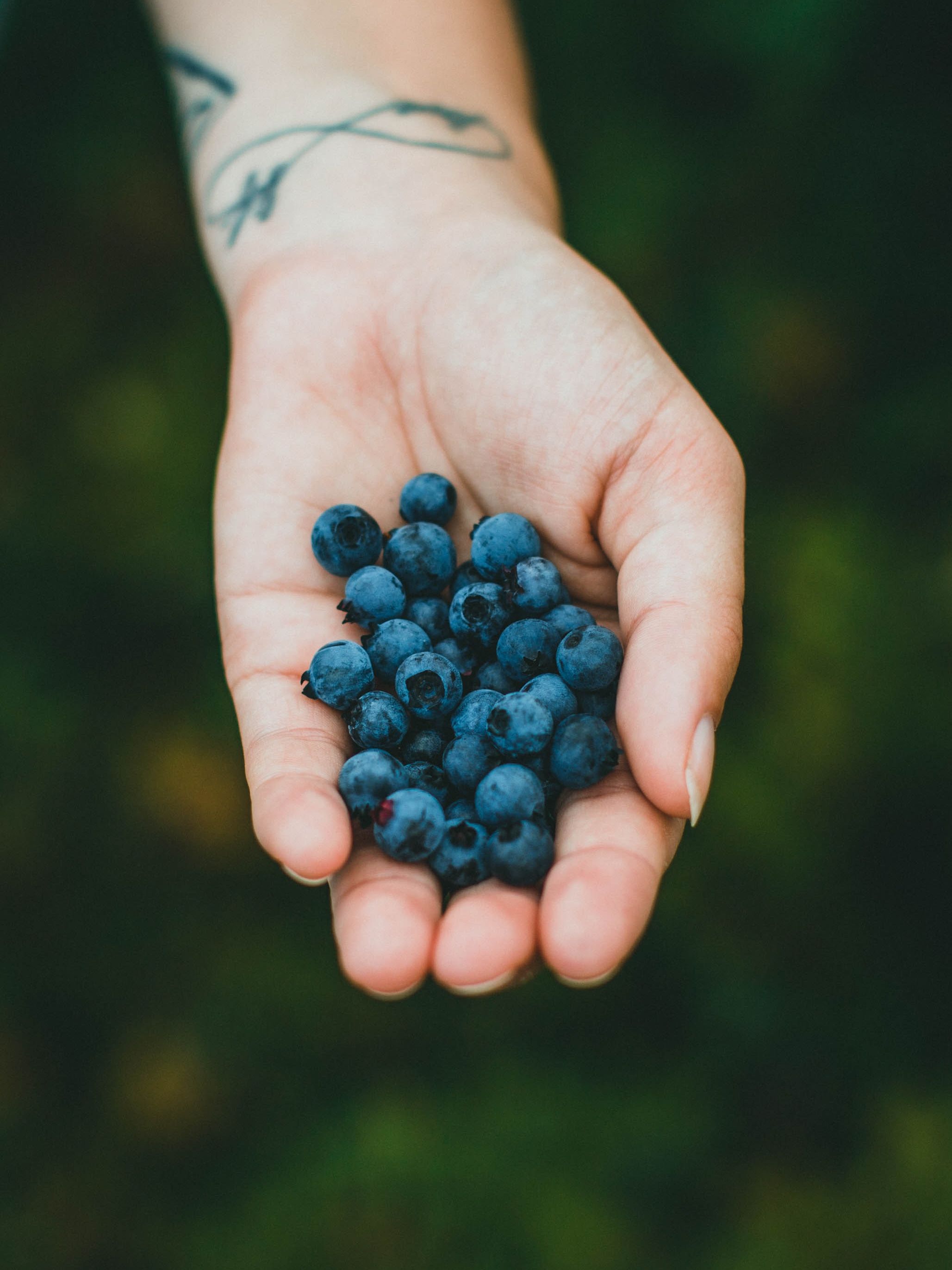  What is the "Elderberry," known as a natural medicine cabinet?